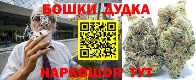 стафф Обь