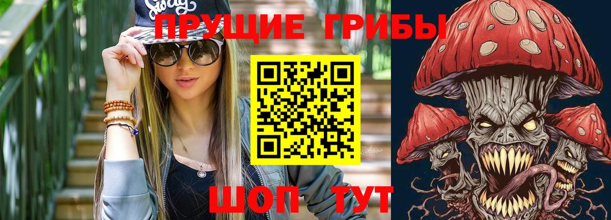 Псилоцибиновые грибы прущие грибы  Вход с VPN  как найти   Саранск 